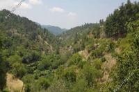 3679 SQM Land in Pelendri (Limassol) for sale 