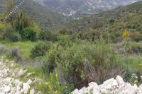 25855 SQM Land · Kalavasos (Larnaca) for sale 