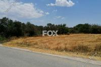 2007 SQM Land in Kathikas (Paphos) for sale 