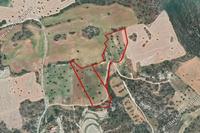26800 SQM Land in Agios Theodoros Larnacas (Larnaca) for sale 