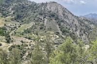 3224 SQM Land in Gourri (Nicosia) for sale 