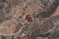 3679 SQM Land in Politiko (Nicosia) for sale 