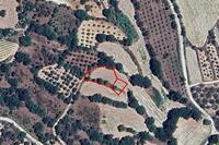 1255 SQM Land in Amargeti (Paphos) for sale 