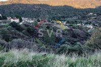3386 SQM Land in Agios Mamas (Limassol) for sale 