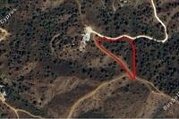 5980 SQM Land · Evrychou (Nicosia) for sale 