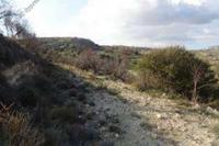 16054 SQM Land · Nata (Paphos) for sale 