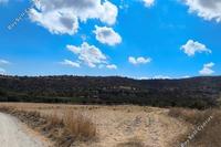 16054 SQM Land · Nata (Paphos) for sale 