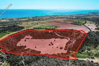 58529 SQM Land in Agios Theodoros Larnacas (Larnaca) for sale 