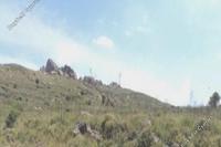 5686 SQM Land in Ineia (Paphos) for sale 
