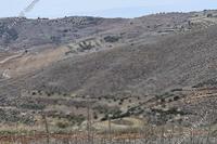 5686 SQM Land · Ineia (Paphos) for sale 