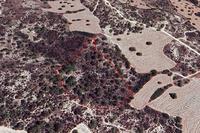 13378 SQM Land · Tochni (Larnaca) for sale 
