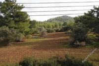 2500 SQM Plot in Pyrga (Larnaca) for sale 