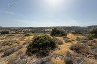 24274 SQM Plot in Kalavasos (Larnaca) for sale 