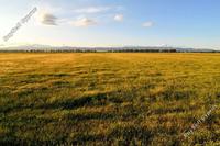 950 SQM Plot · Agios Tychonas (Limassol) for sale 