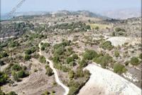 4348 SQM Land in Dora (Limassol) for sale 