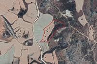 14716 SQM Land in Steni (Paphos) for sale 