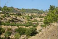 29098 SQM Land in Pano Pyrgos (Nicosia) for sale 
