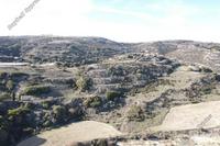 7358 SQM Land in Theletra (Paphos) for sale 