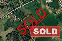 11010 SQM Land in Mazotos (Larnaca) for sale 