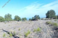 10034 SQM Land in Kritou Tera (Paphos) for sale 