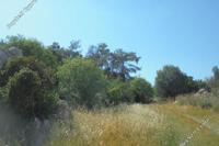 3345 SQM Land · Parekklisia (Limassol) for sale 