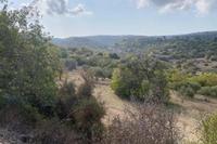 10034 SQM Land · Kritou Tera (Paphos) for sale 