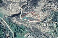 6355 SQM Land in Kato Drys (Larnaca) for sale 