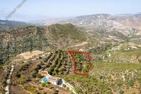 9031 SQM Plot in Dora (Limassol) for sale 