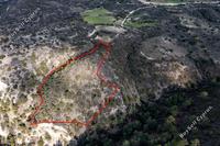 13044 SQM Land in Dora (Limassol) for sale 