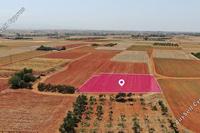 1872 SQM Land · Palaiometocho (Nicosia) for sale 
