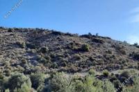 13379 SQM Land · Kalavasos (Larnaca) for sale 