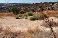 932 SQM Land · Agia Fyla (Limassol) for sale 