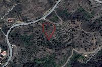 6689 SQM Land in Palaichori Oreinis (Nicosia) for sale 