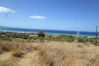 11706 SQM Land in Agia Marina Chrysochous (Paphos) for sale 