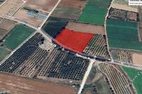 7913 SQM Plot in Mandria Pafou (Paphos) for sale 
