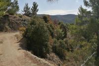 39800 SQM Land in Archimandrita (Paphos) for sale 