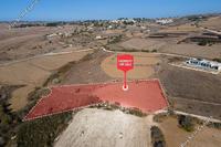 6697 SQM Land in Pano Arodes (Paphos) for sale 