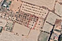 1310 SQM Land in Dali (Nicosia) for sale 