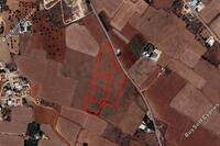 15761 SQM Land · Avgorou (Famagusta) for sale 