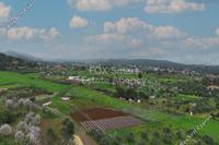 29000 SQM Plot · Klirou (Nicosia) for sale 