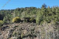 5352 SQM Land · Kaminaria (Limassol) for sale 