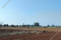 15311 SQM Land · Avgorou (Famagusta) for sale 