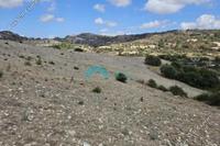 20736 SQM Land in Amargeti (Paphos) for sale 