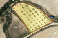 2825 SQM Plot in Pissouri (Limassol) for sale 