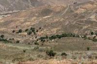 4683 SQM Land · Salamiou (Paphos) for sale 
