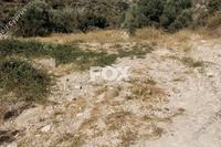 1220 SQM Plot · Palodeia (Limassol) for sale 