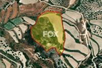 20402 SQM Land in Theletra (Paphos) for sale 