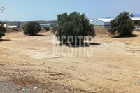  Warehouse in Tseri (Nicosia) for sale 