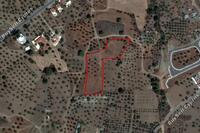 7693 SQM Land · Kornos (Larnaca) for sale 