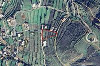 2936 SQM Land in Pomos (Paphos) for sale 